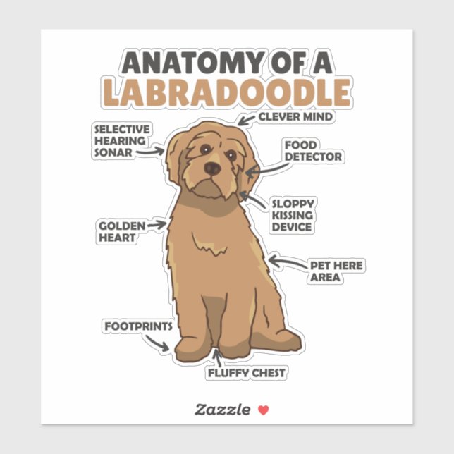 Sticker Anatomie D'Un Labradoodle Cute Canine Chiot (Feuille)