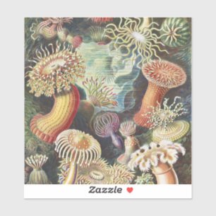 Sticker Anémones de mer de Haeckel Collage d'art de vie na
