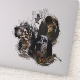 Sticker Anglais Setter, chasse à la bécasse