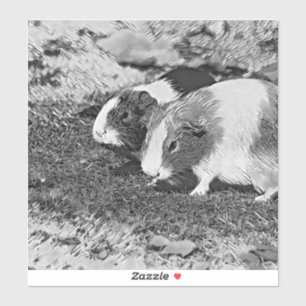 Sticker AnimalArtBW_GuinéePig_003