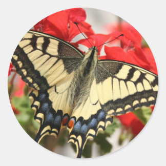 Sticker Anise Swallowtail