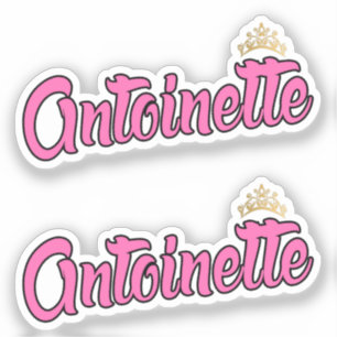 Sticker Antoinette rose Nom x2 Vinyl