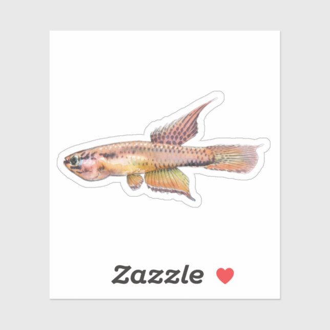 Sticker aphyosemion bitaeniatum ijebu ode Killifish (Feuille)