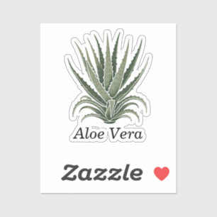 Sticker Apothicaire Herbal à base de plante d'Aloe Vera 
