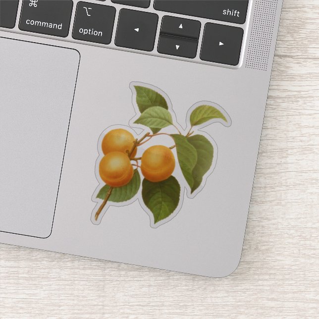 Sticker Apricots orange vintage (Détail)