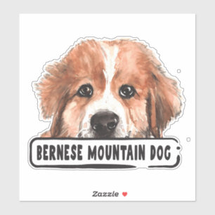 Sticker Aquarelle Bernese Mountain Dog