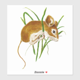 Sticker Aquarelle Cuire souris souris souris souris art an