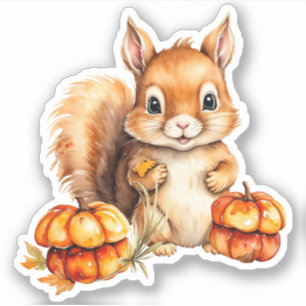 Sticker Aquarelle Cute Baby Squirrel et Little Citrouille