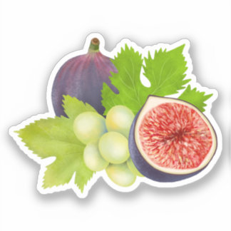 Sticker Aquarelle esthétique Fig et Grappe