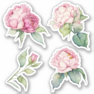 Sticker Aquarelle florale rose pis rose roses roses
