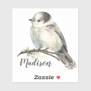 Sticker Aquarelle Gris Jay Oiseau Nature Nom personnalisé