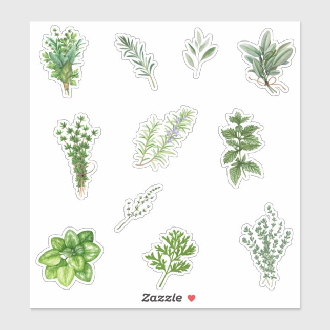 Sticker Aquarelle Herbes de cuisine vertes (Feuille)