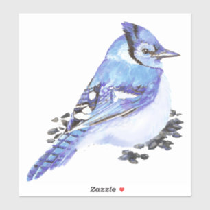 Sticker Aquarelle Jay Jay Jardin Oiseau Art naturel