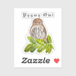 Sticker Aquarelle Saw Whet Cute Little Owls