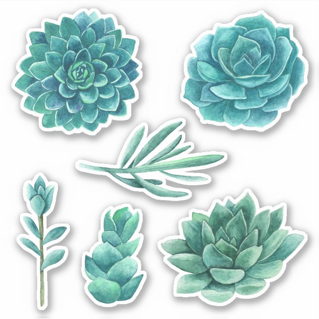 Sticker Aquarelle succulente. Cactus bleu. cactus turquois (Devant)
