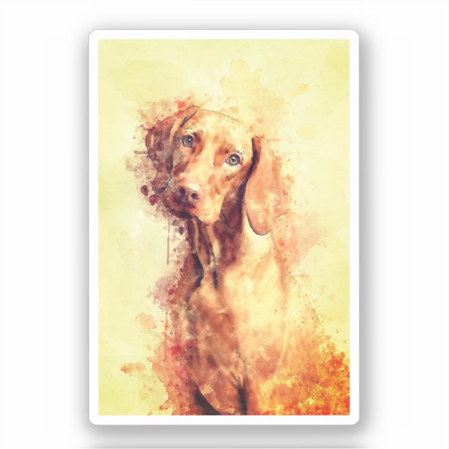 Sticker Aquarelle Vizsla (Recto)