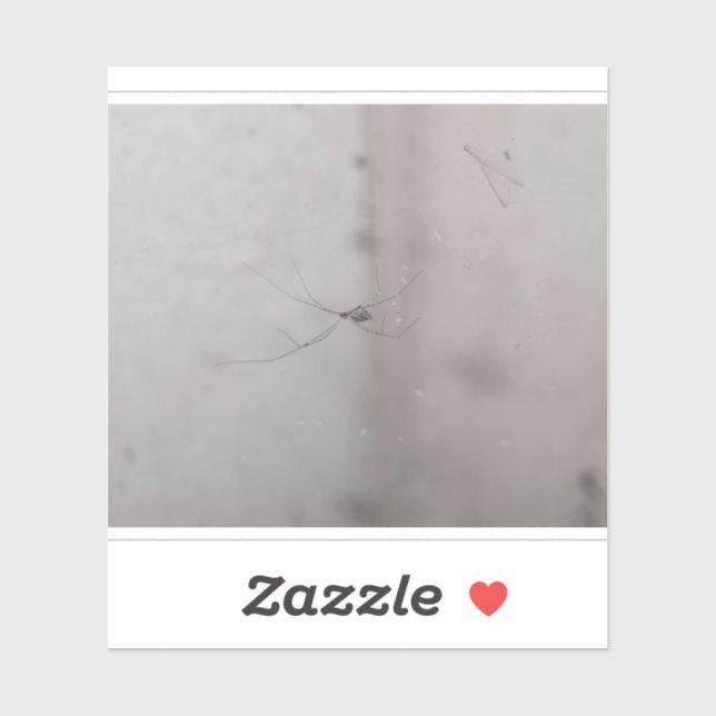 Sticker araignée de cave cosmopolite (Feuille)