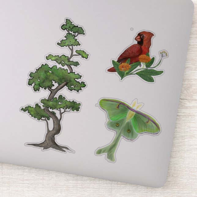 Sticker Arbre, Luna Moth et Cardinal Bird Nature (Détail)