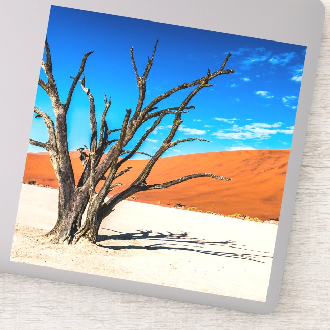 Sticker Arbre mort à Deadvlei, Namibie (Détail)