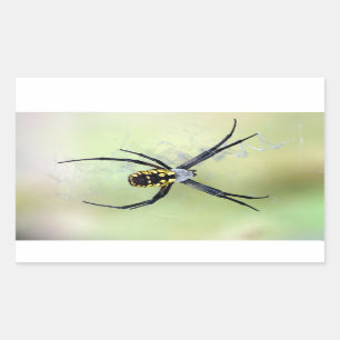 Sticker Argiope Jardin Noir & Jaune
