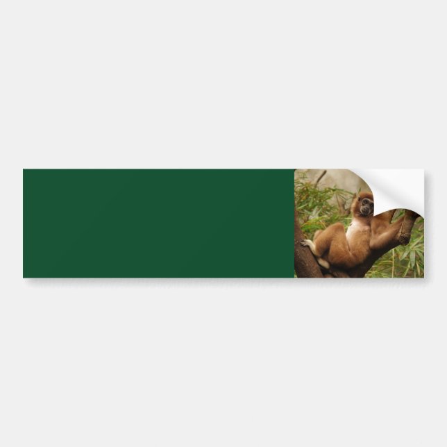 Sticker Arrière - plan de singe (Devant)