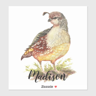 Sticker Art de nature d'oiseau de cailles de Californie