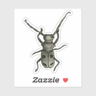 Sticker Art de scarabée - Encre et aquarelle de style natu