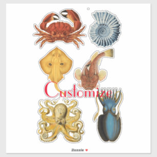 Sticker Association d'apaces de mer uniques Thunder_Cove