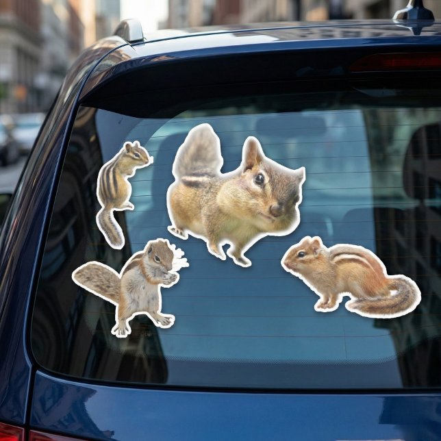 Sticker Assorti Chipmunk Pack (Always cute never boring.)