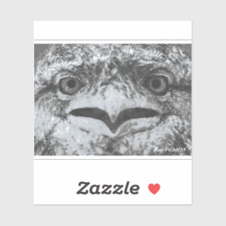 Sticker Australian Wildlife, Nature's Curmudgeon, Animal