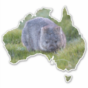 Sticker Australie Contour Forme Cute Wombat Tasmanie