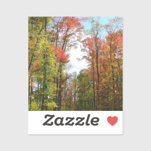 Sticker Automnes Arbres et Ciel bleu Automne Photographie  (Feuille)