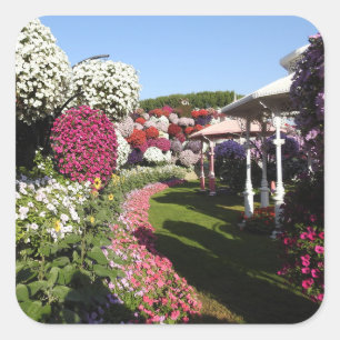 Sticker avec Petunias Garden