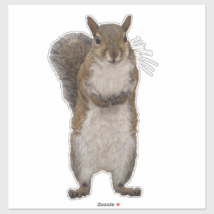 Sticker Avez-vous des noix ?