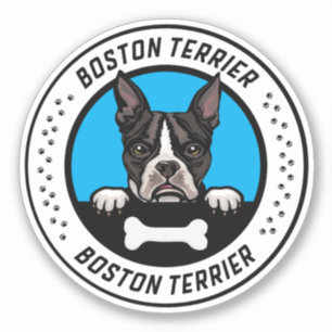 Sticker Badge d'illustration de Boston Terrier Peeking