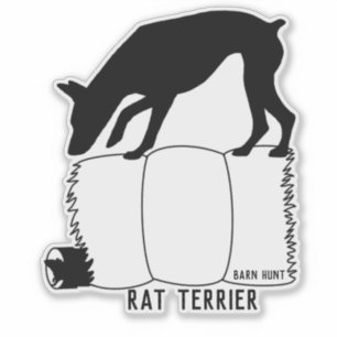 Sticker Baguette de chasse à la grange de Rat terrier