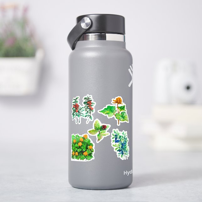 Sticker Baies, bleuets, lingonberry, fraises (HydroFlask)