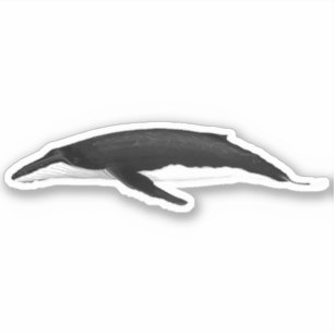 STICKER BALEINE À HUMPBACK
