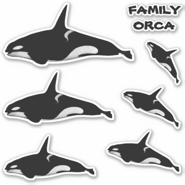 STICKER BALEINE ORCA FAMILLE (Devant)
