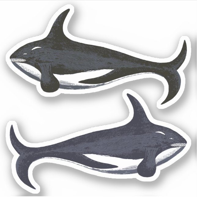Sticker Baleines tueuses (Devant)