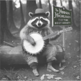 Sticker Banjo Raccoon