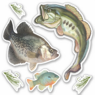 Sticker Basse de pêche Blue Gill Crappie Hooks