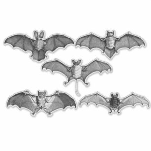 Sticker Bats Bats Noirs Et Blancs