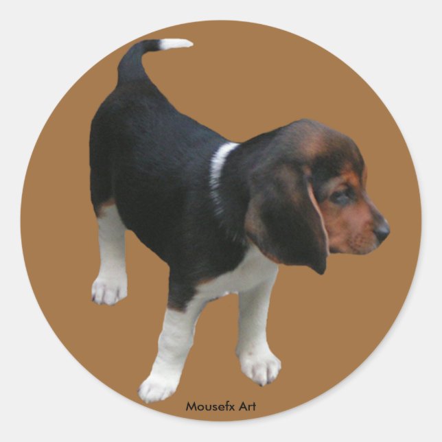 Sticker beagle (Devant)