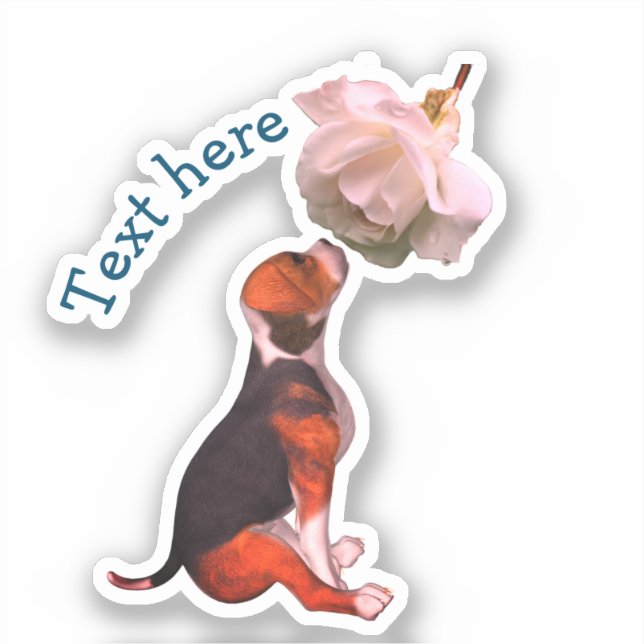 Sticker Beagle Chien blanc rose mignon Personnalisé (Recto)