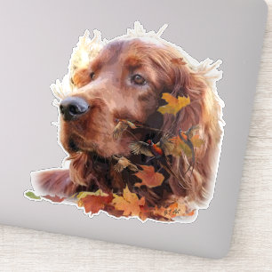 Sticker Beau plateau rouge irlandais