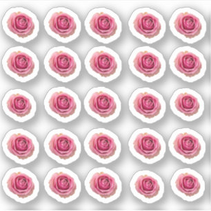 Sticker Beaucoup de petites roses roses roses