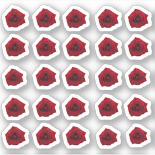 Sticker Beaucoup de petites roses rouges