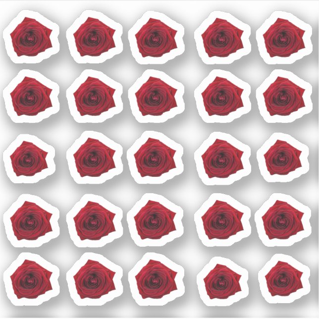 Sticker Beaucoup de petites roses rouges (Devant)