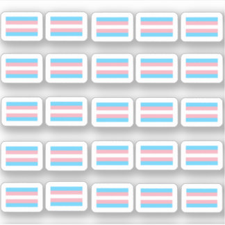 Sticker Beaucoup de petits drapeaux transgenre
